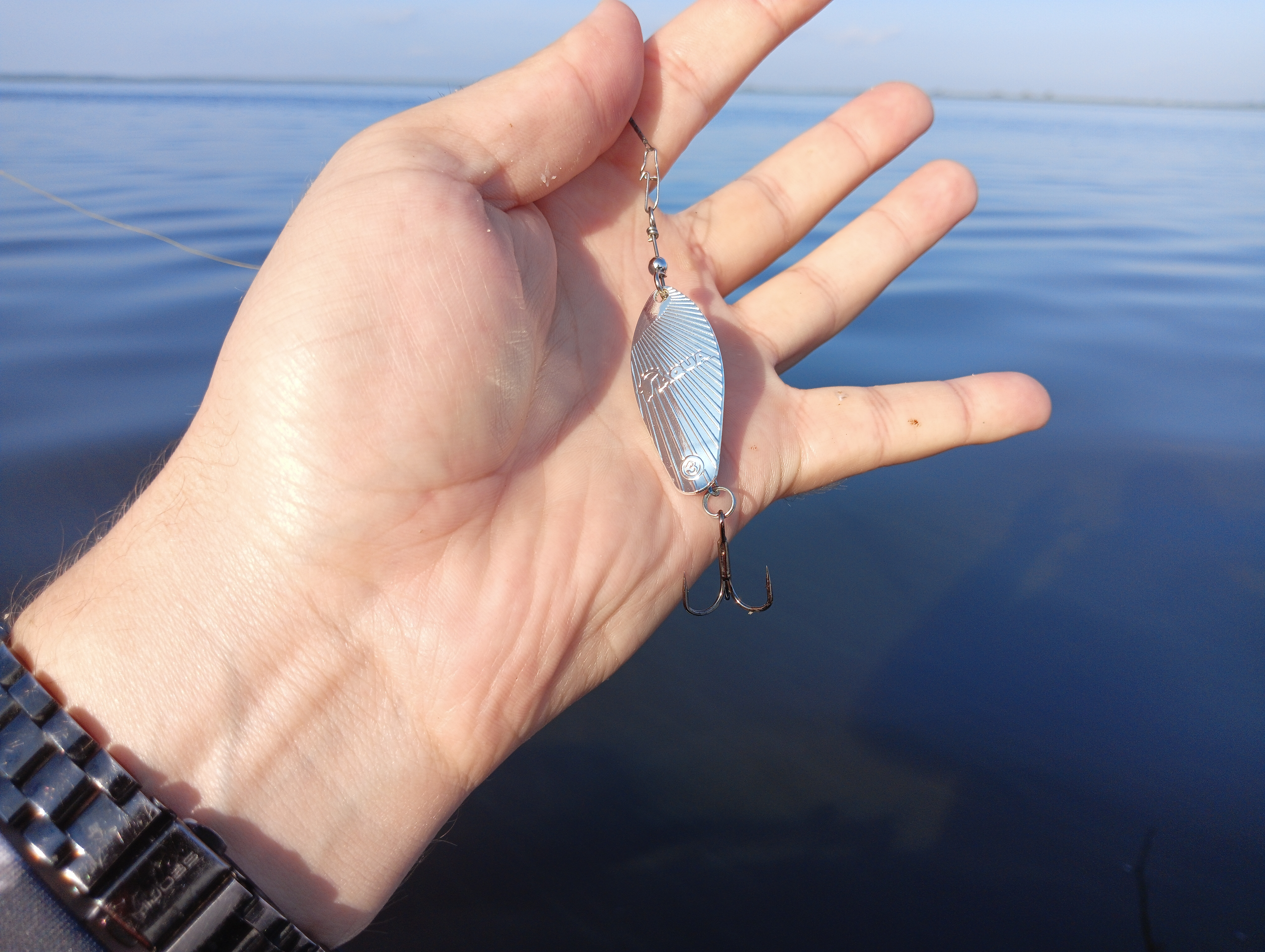 blesna-vertushka-aqua-shell blesna-vertushka-aqua-shell