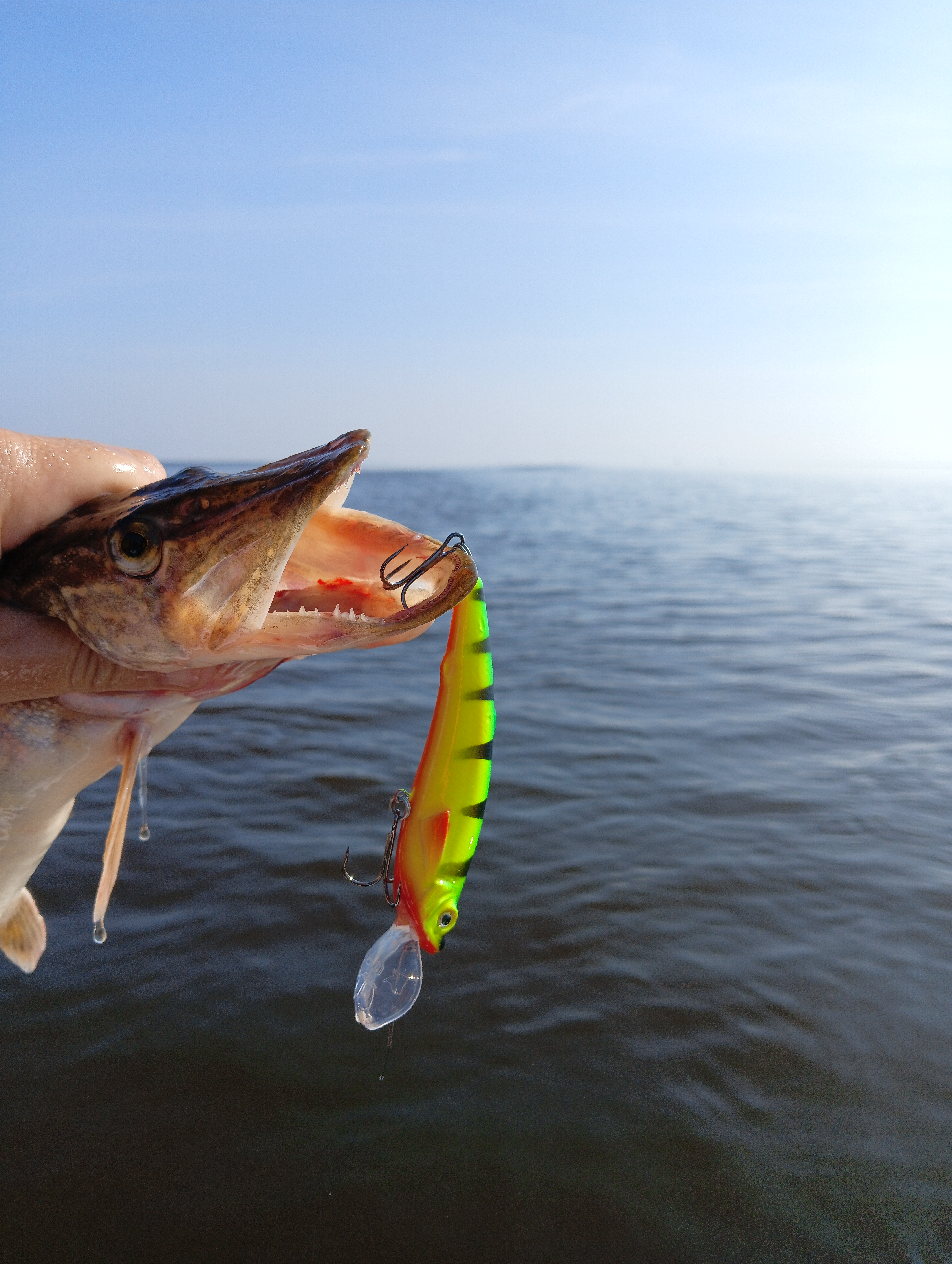 vobler-aqua-yappi-heavy