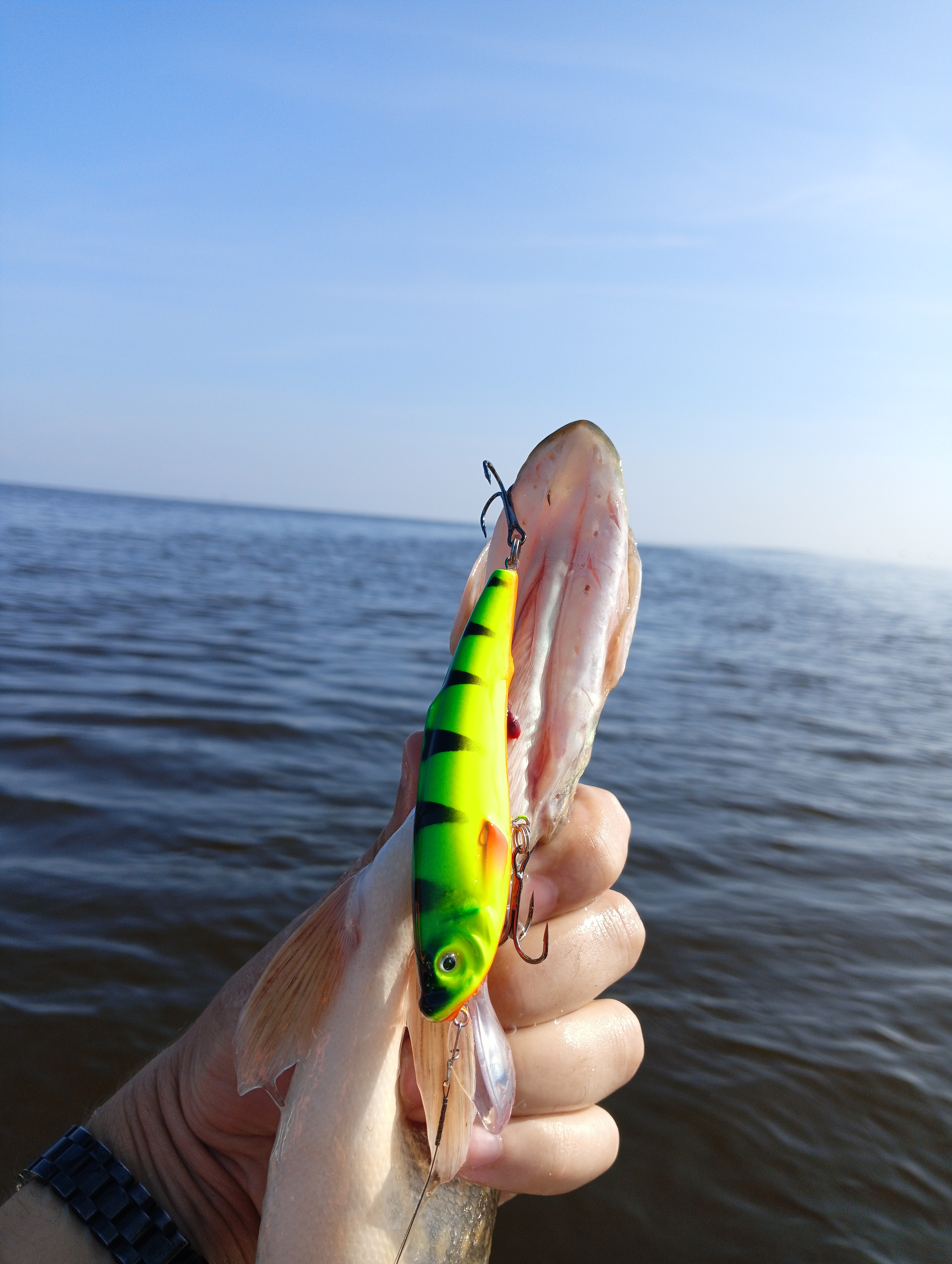 vobler-aqua-yappi-heavy