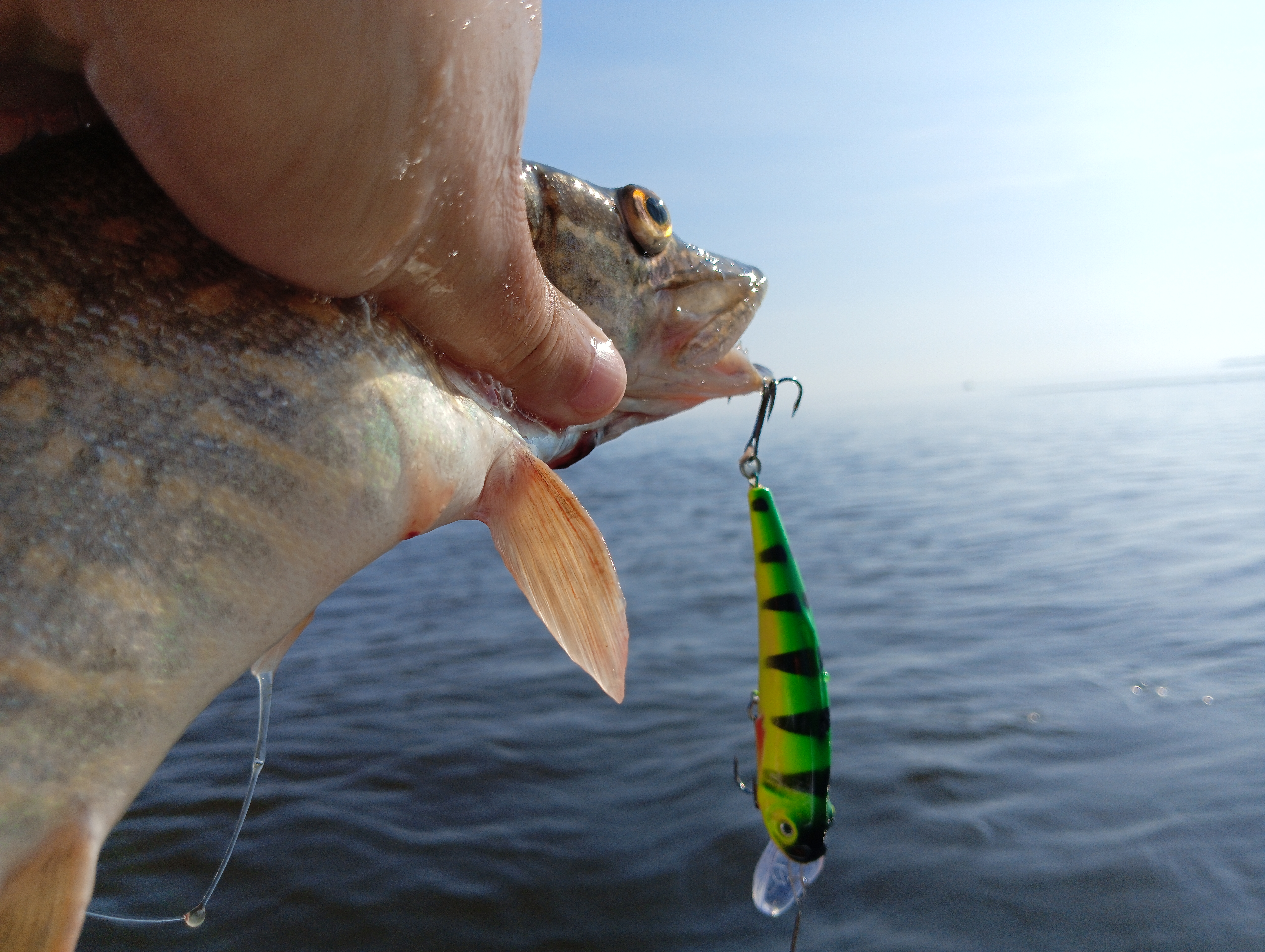 vobler-aqua-yappi-heavy