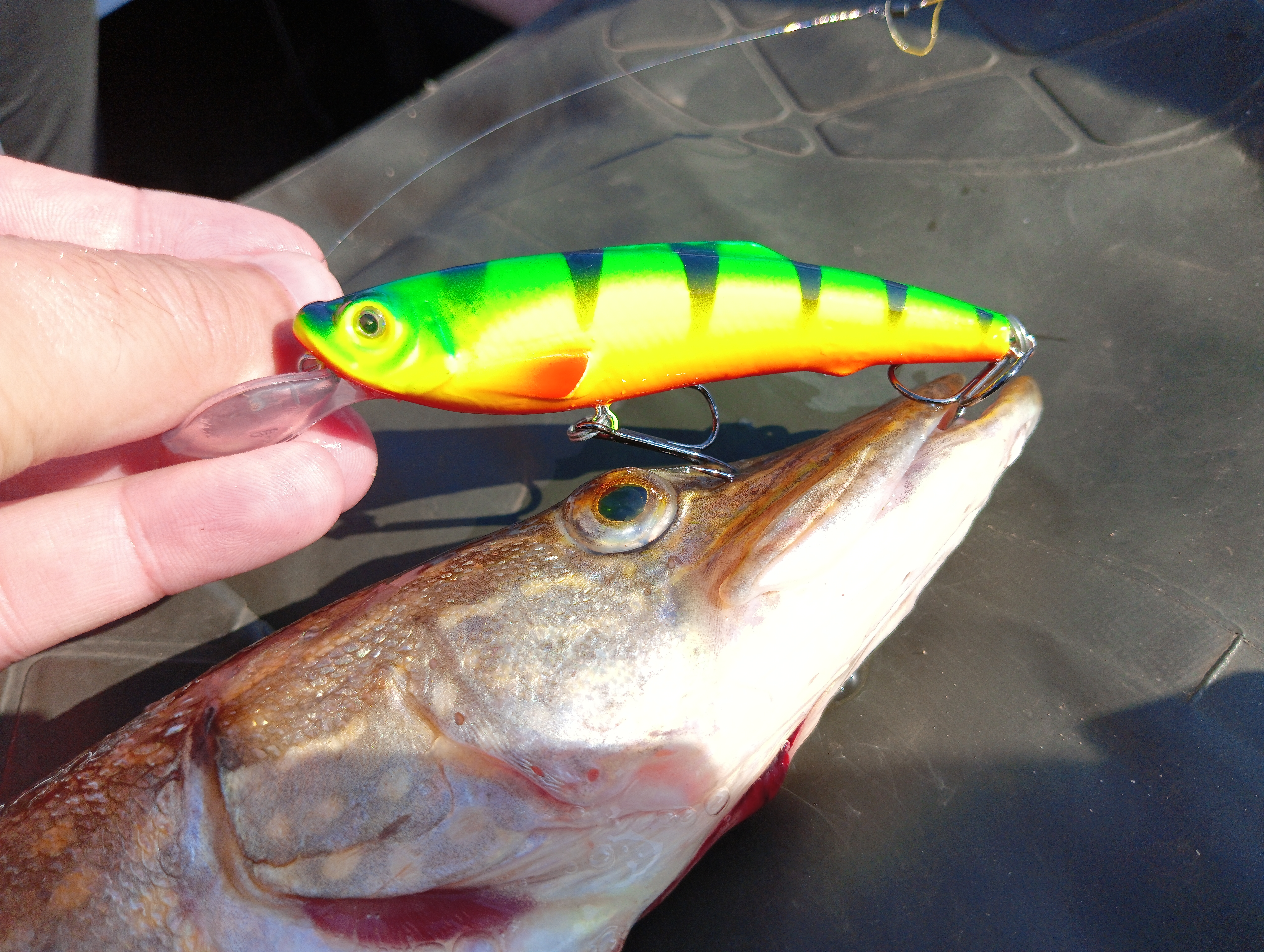 vobler-aqua-yappi-heavy