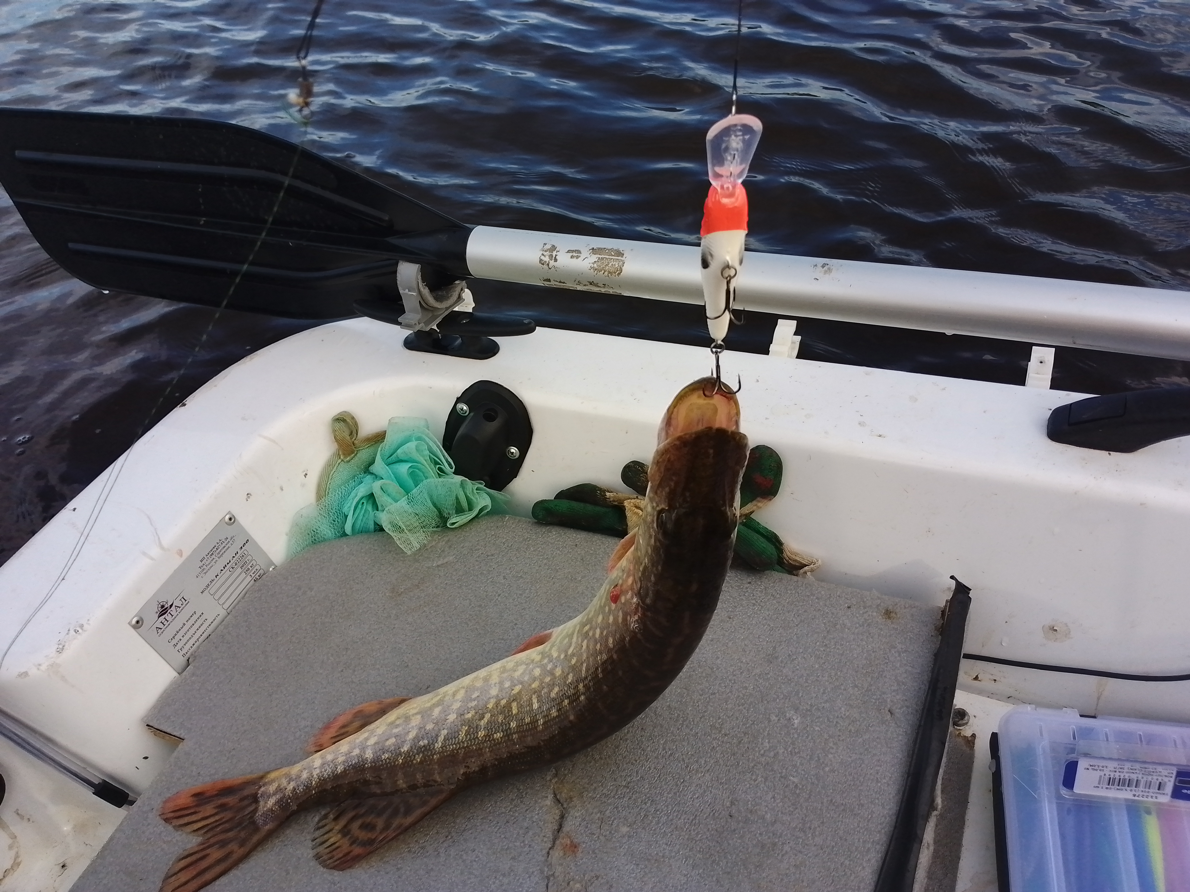 vobler-aqua-tango-dr