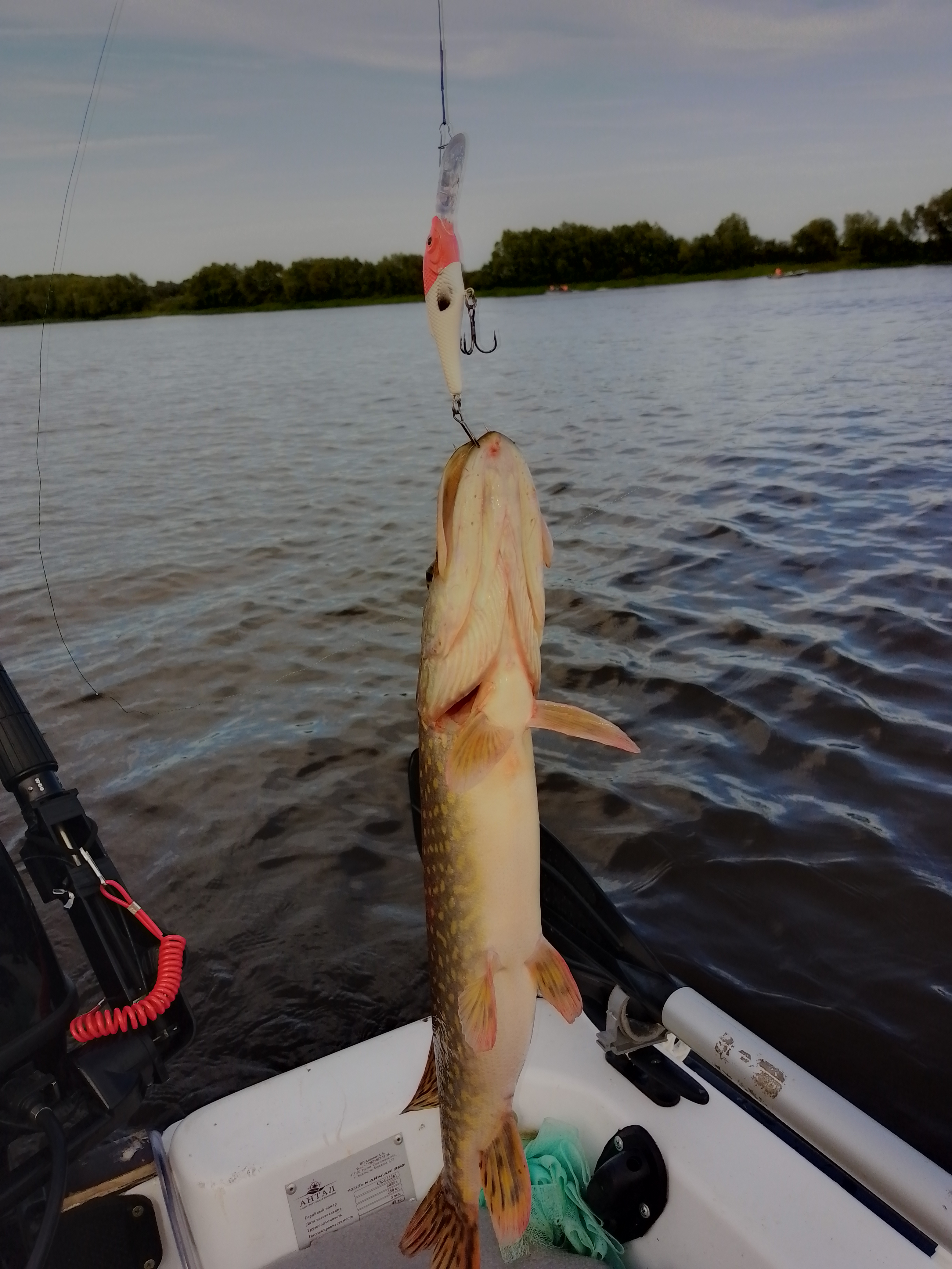 vobler-aqua-tango-dr