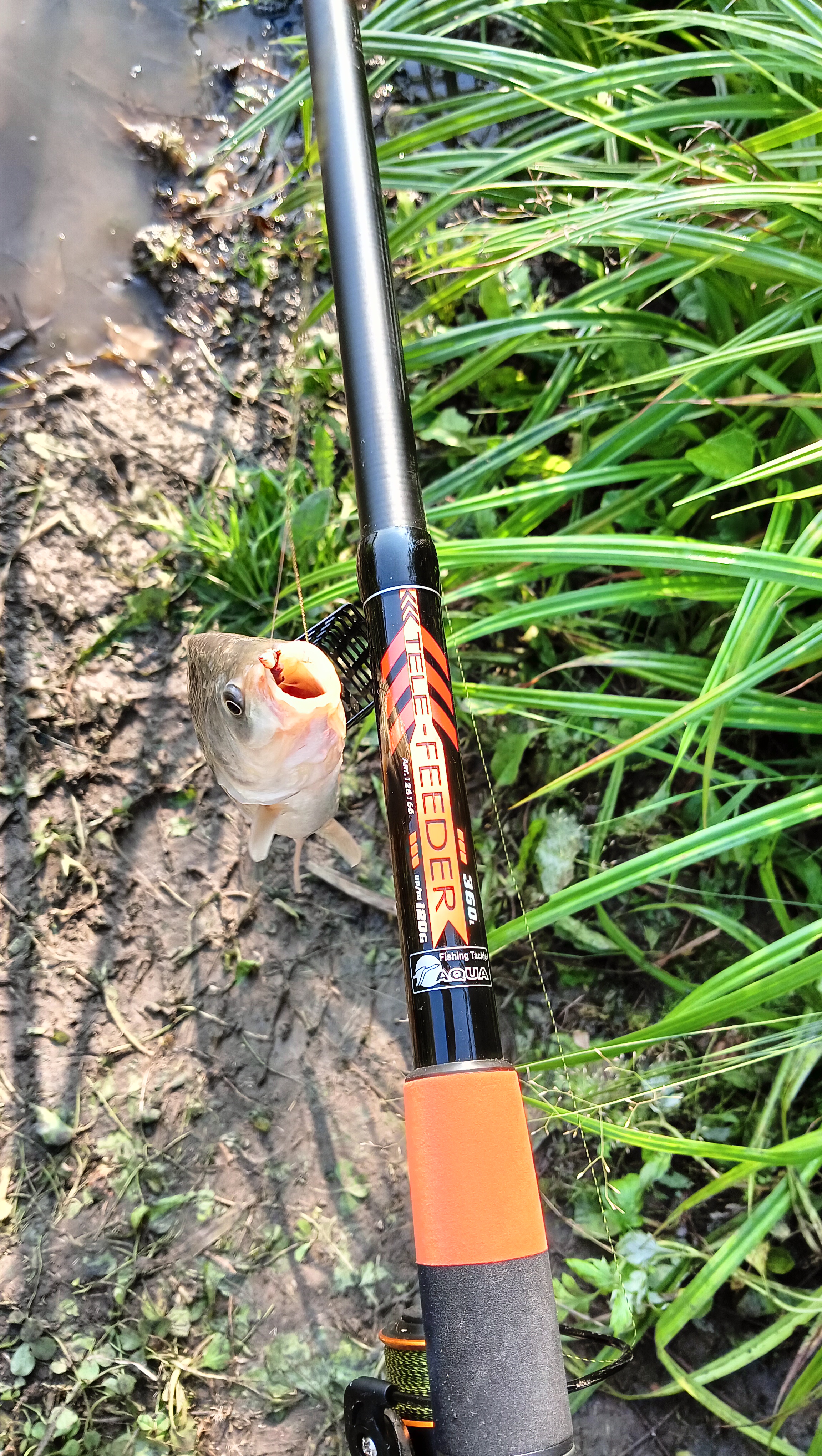 roods-aqua-tele-feder roods-aqua-tele-feder