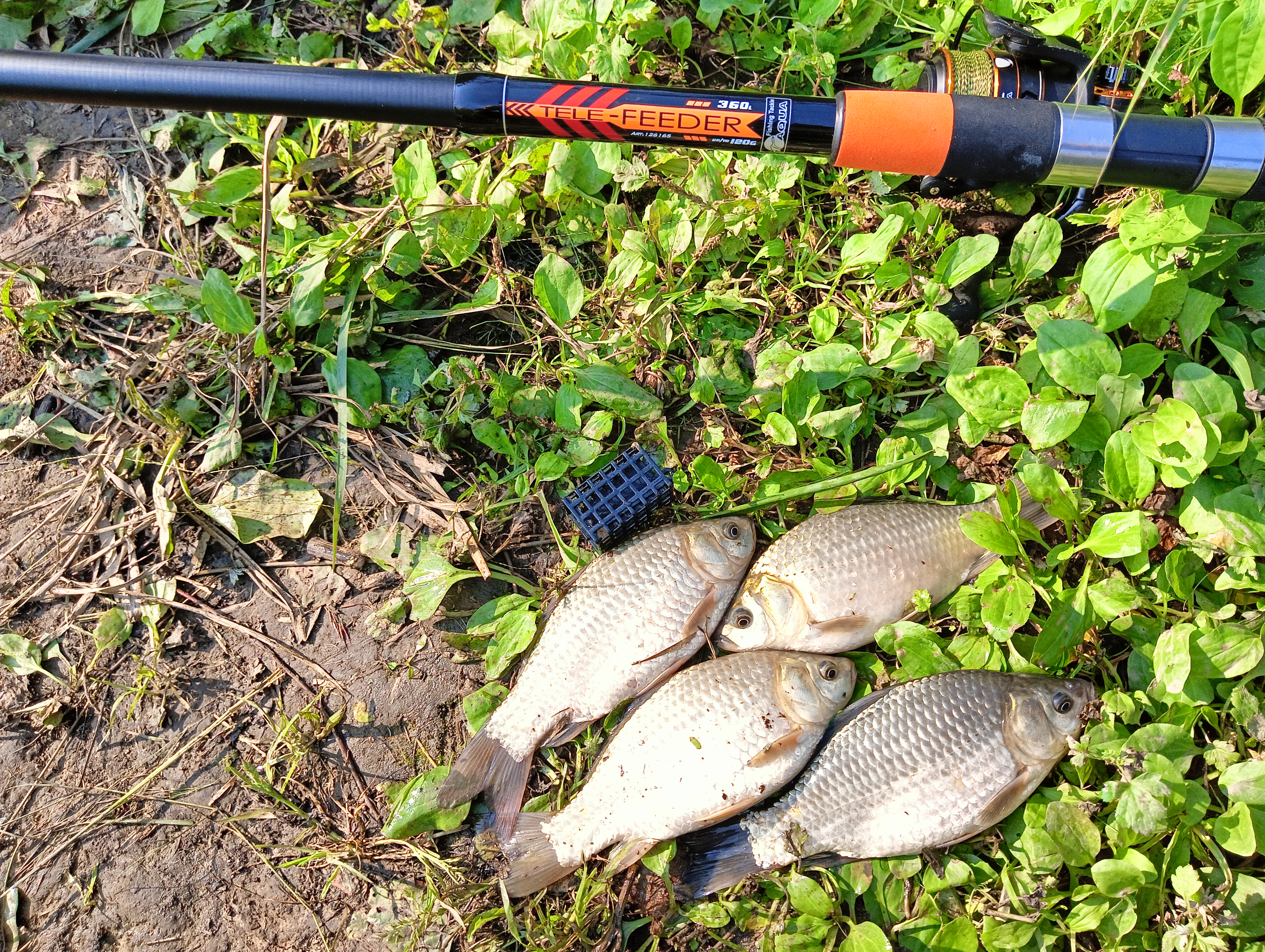 roods-aqua-tele-feder roods-aqua-tele-feder