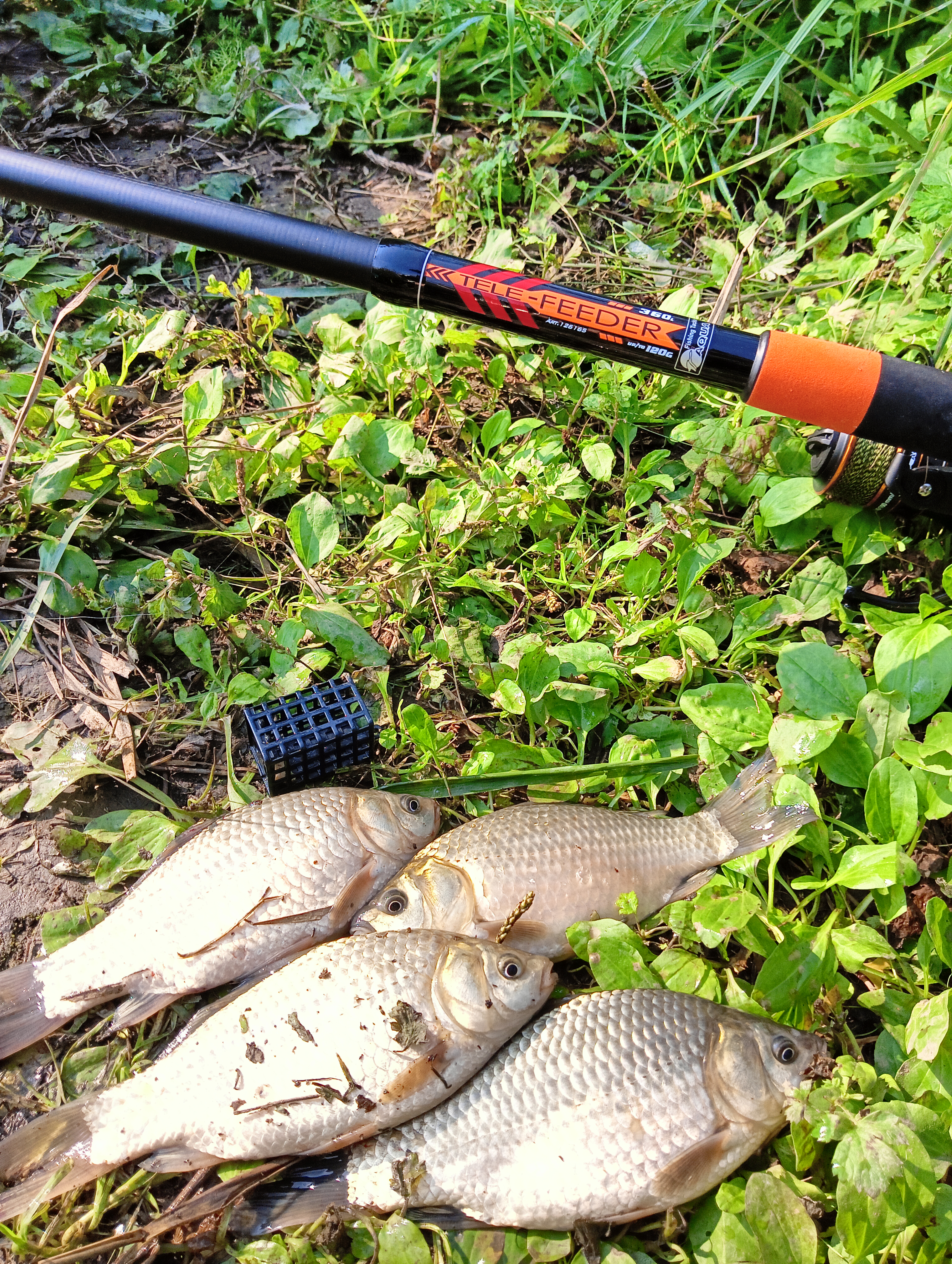 roods-aqua-tele-feder roods-aqua-tele-feder