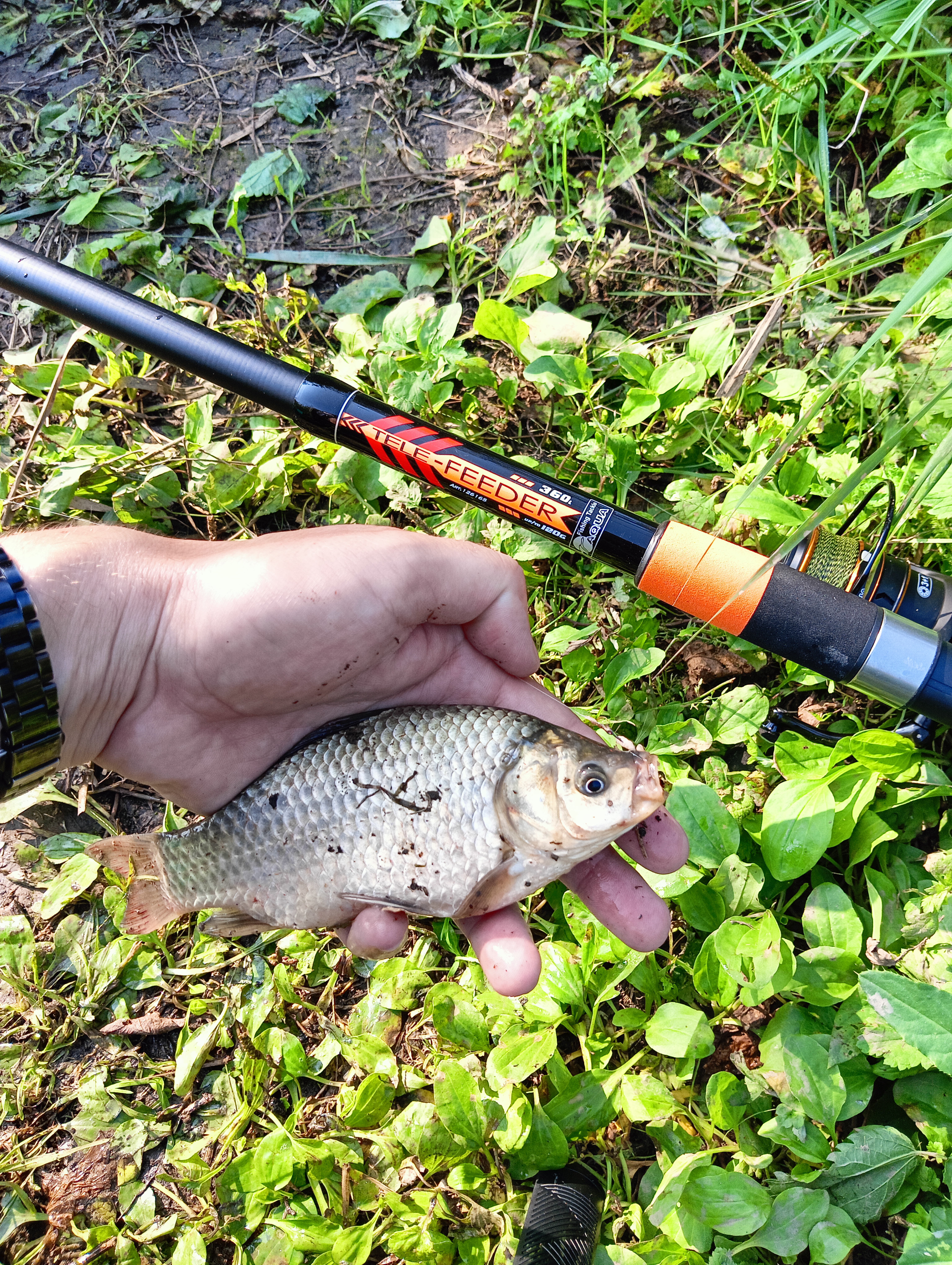 roods-aqua-tele-feder roods-aqua-tele-feder