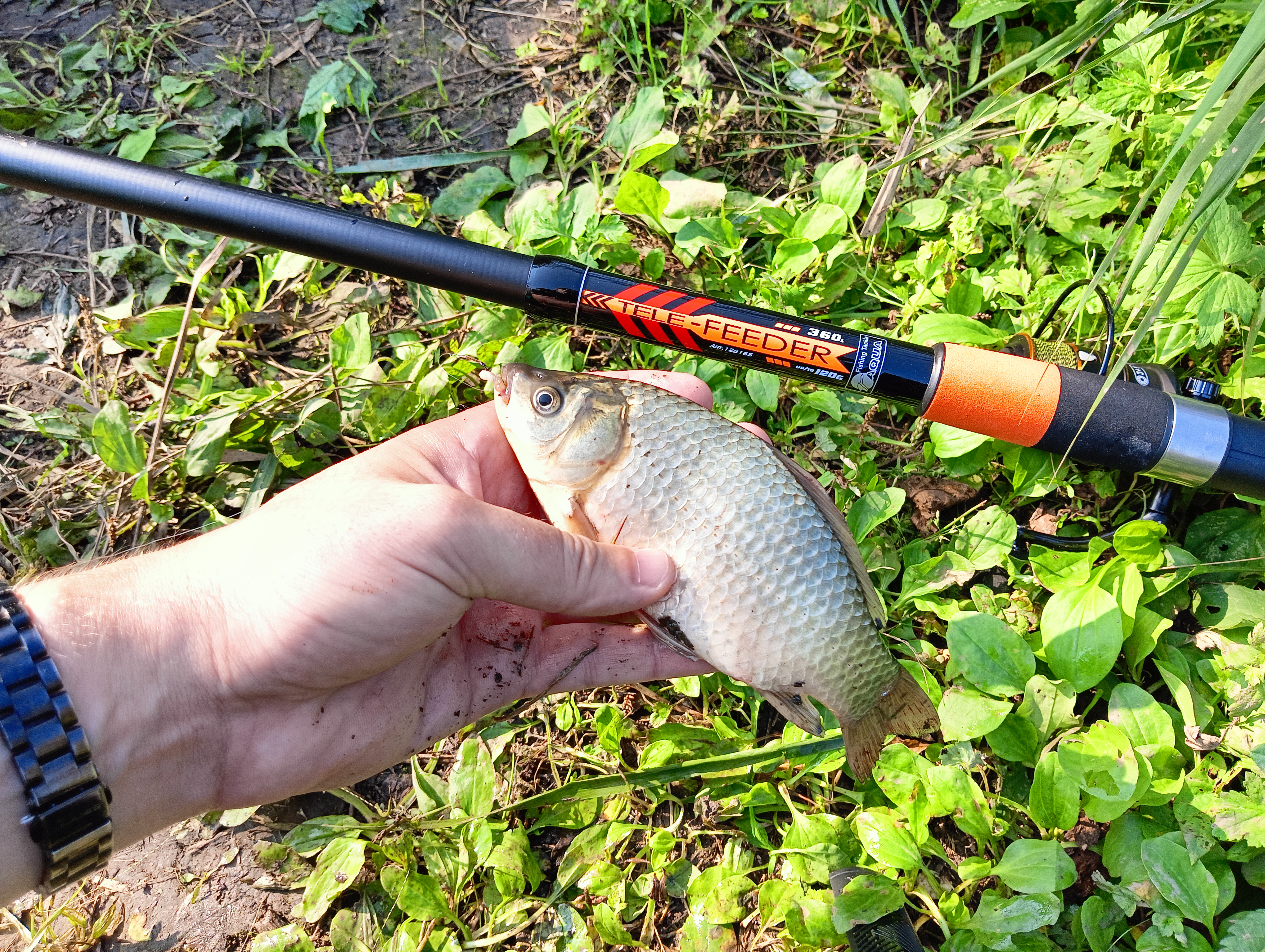 roods-aqua-tele-feder roods-aqua-tele-feder