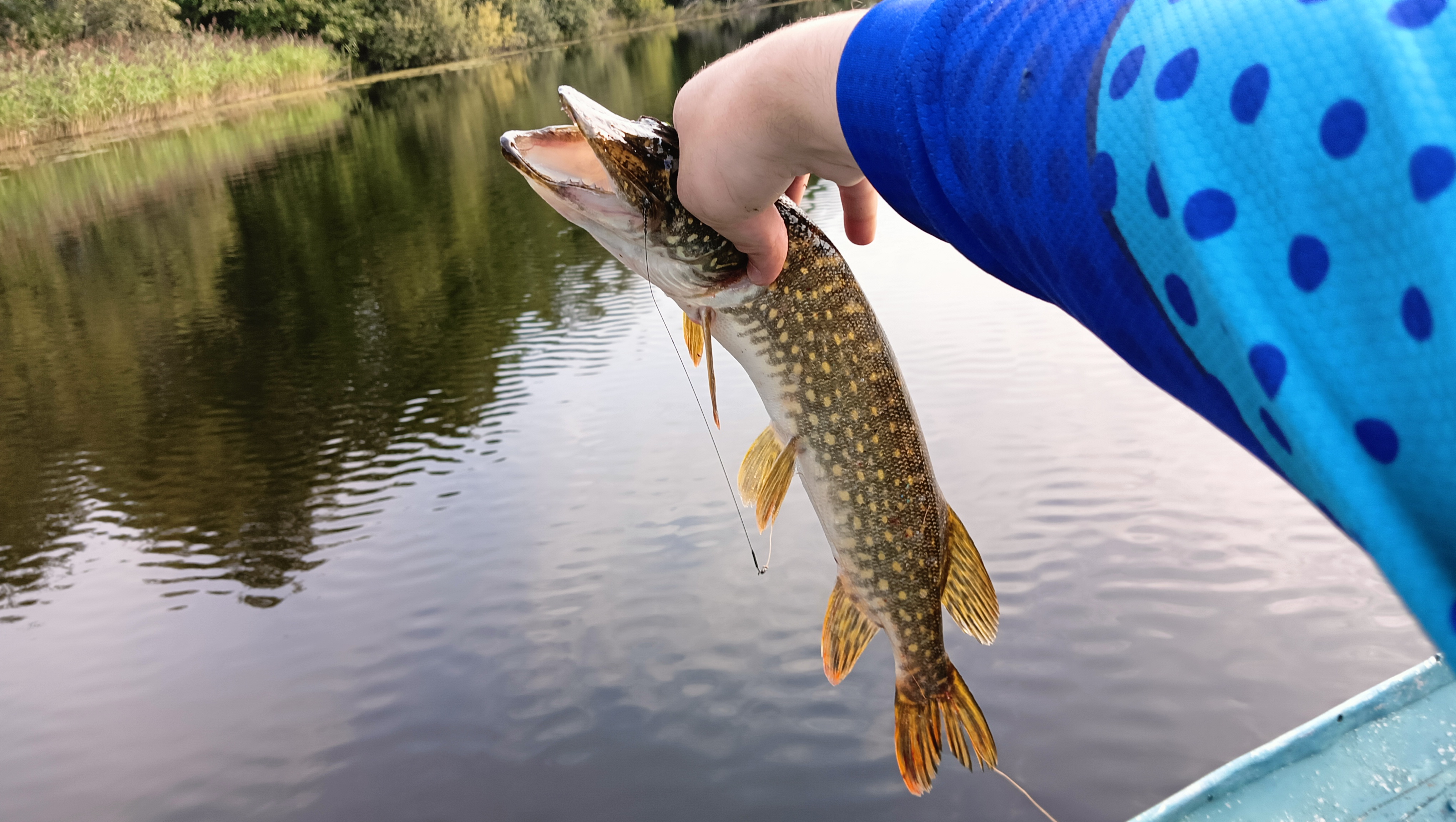 silicon-baits-aqua-flat silicon-baits-aqua-flat