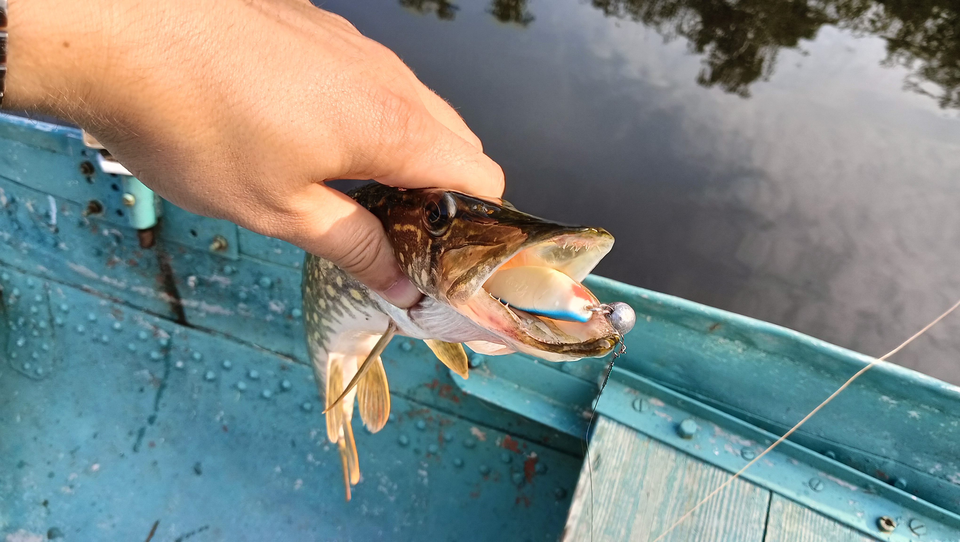 silicon-baits-aqua-flat silicon-baits-aqua-flat