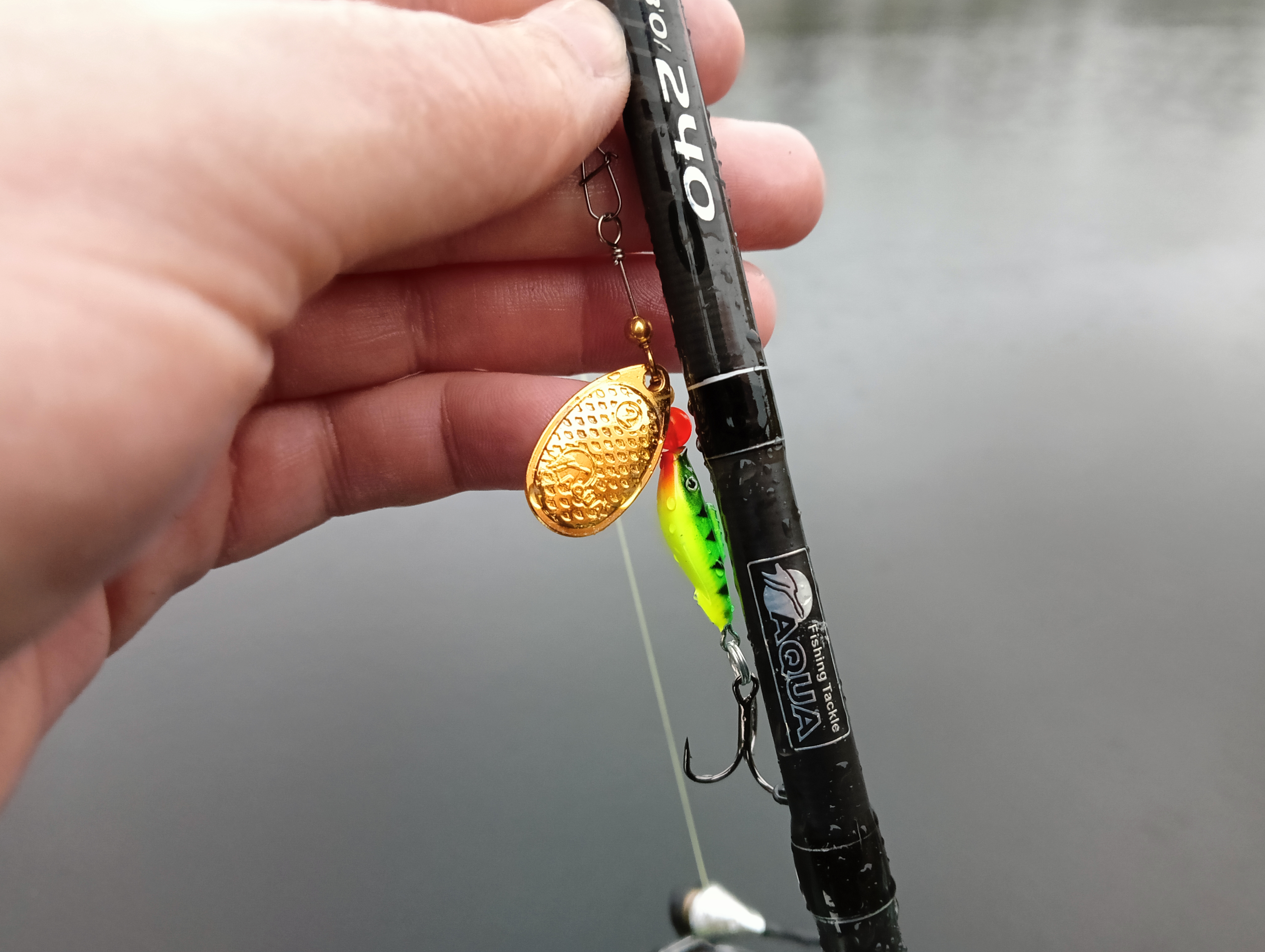 obzor-blesni-aqua-fish-comet