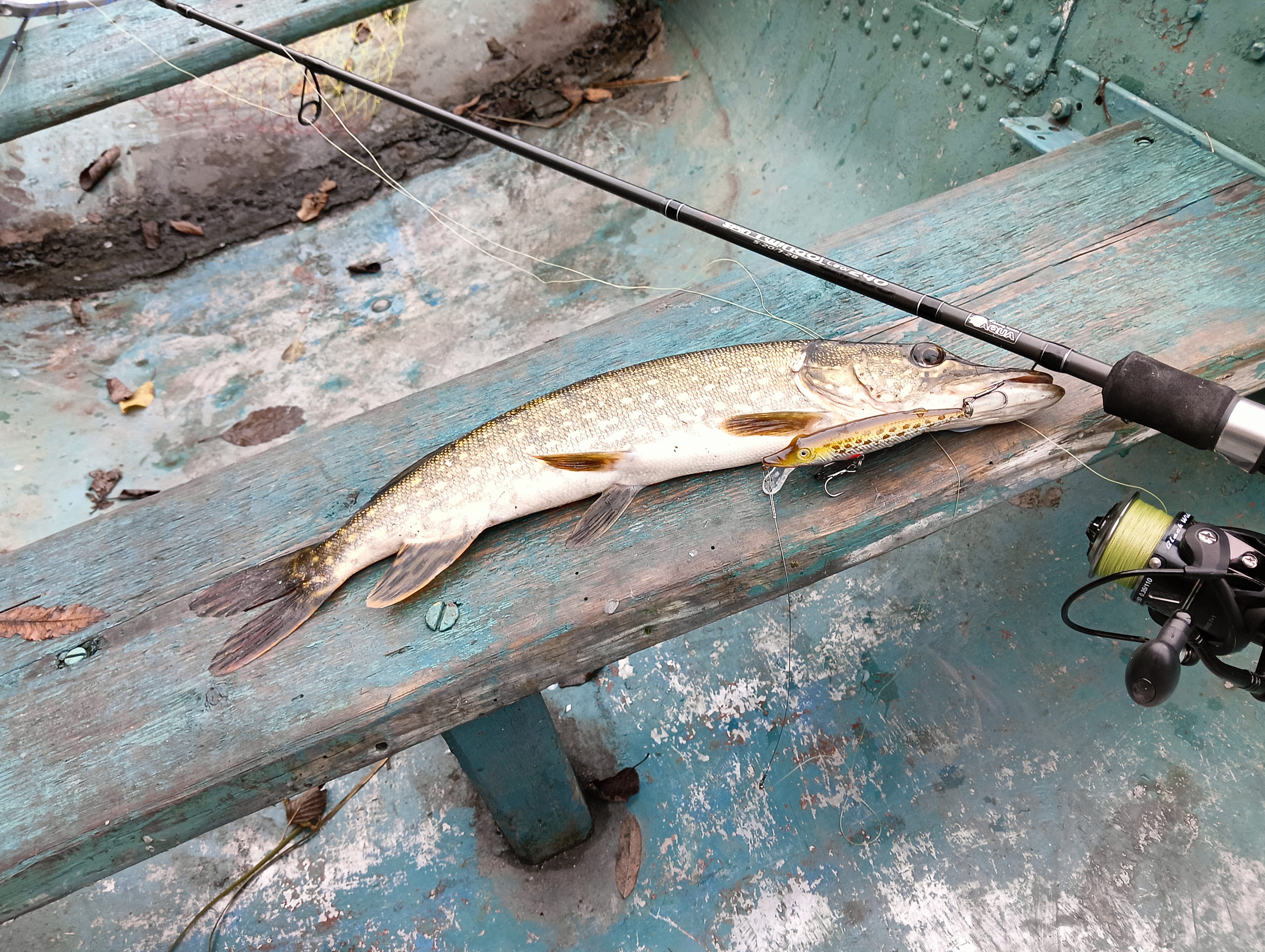 obzor-voblera-aqua-schuka