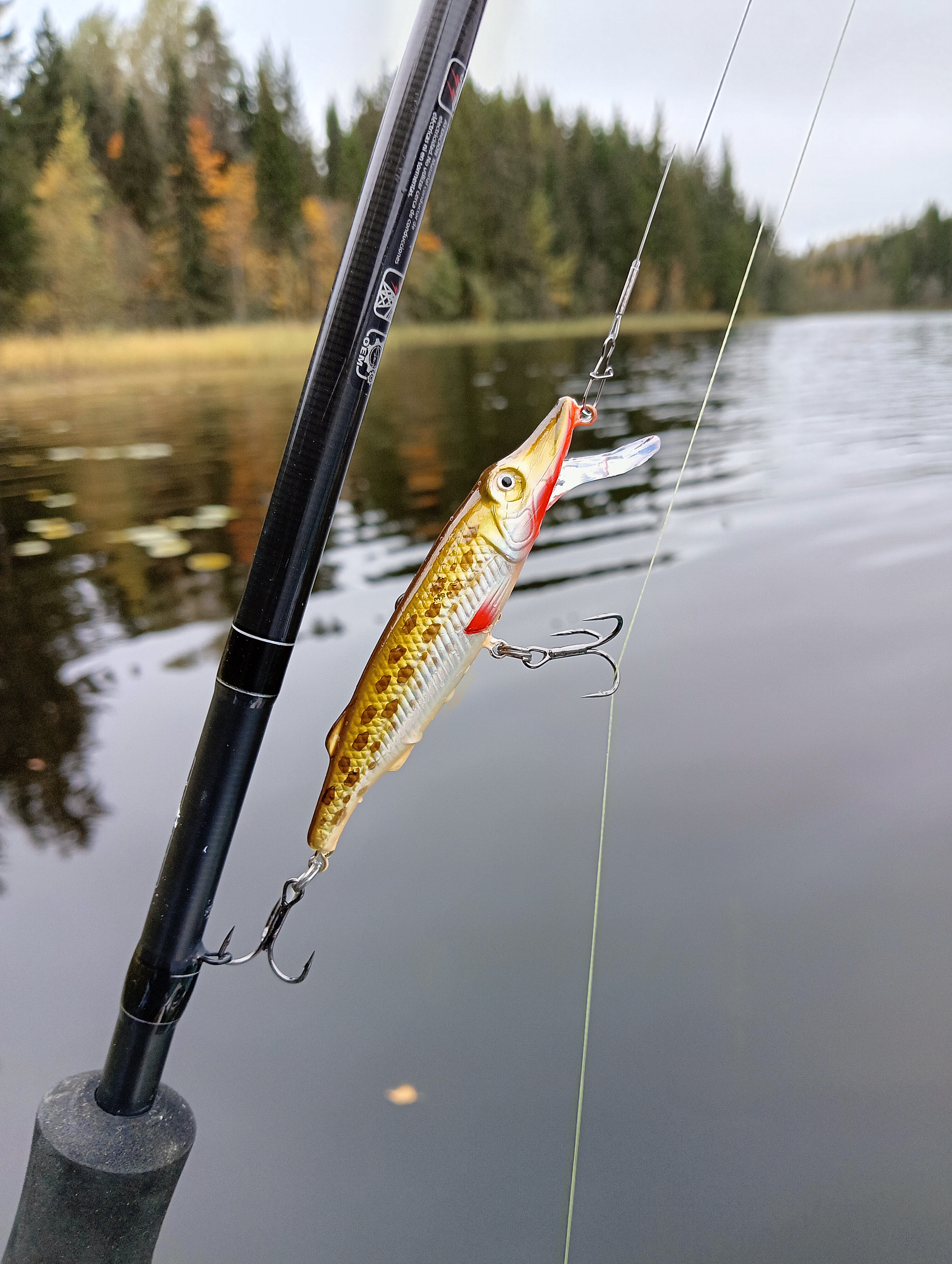 obzor-voblera-aqua-schuka