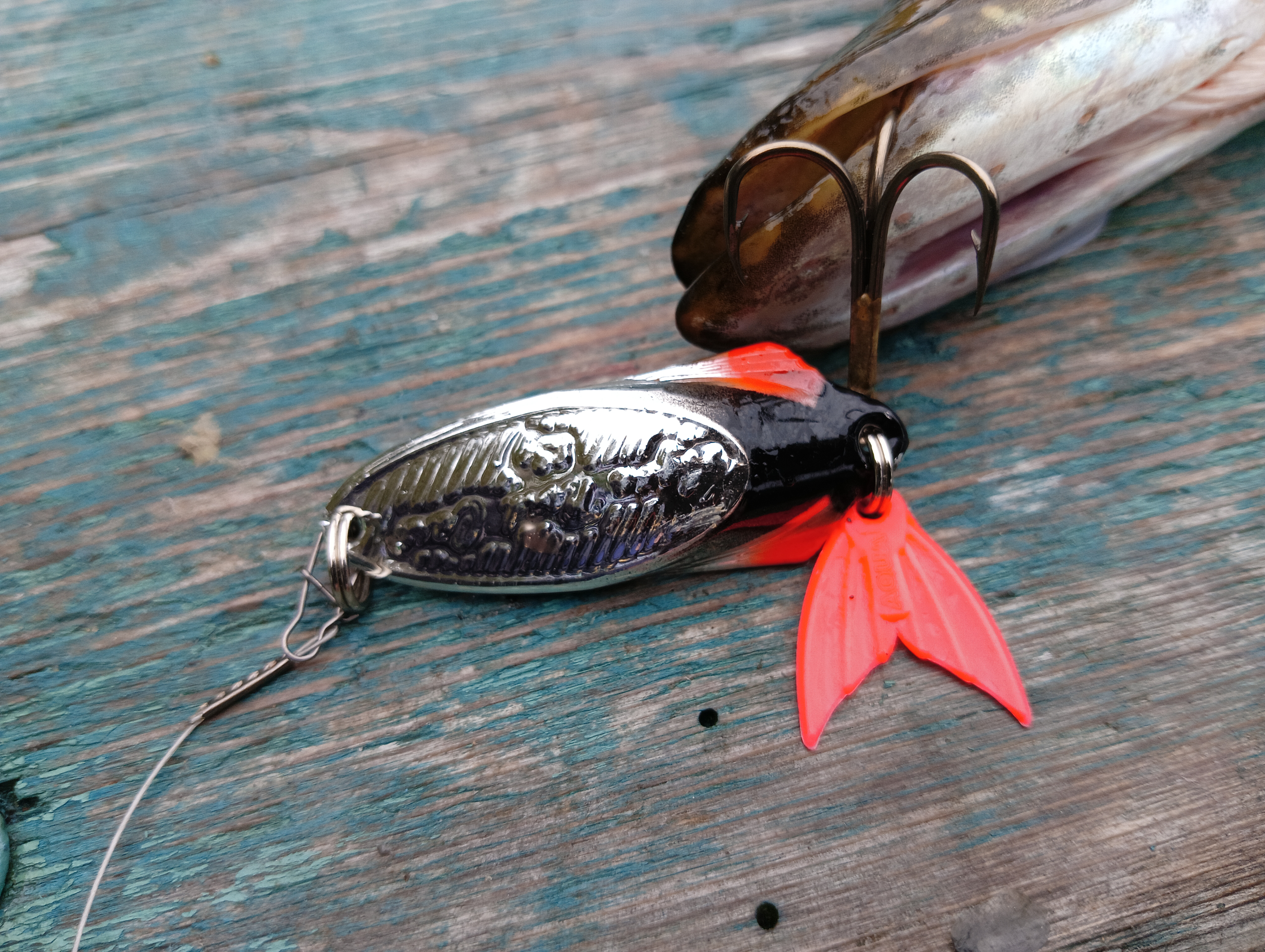 obzor-blesni-aqua-nord-cast