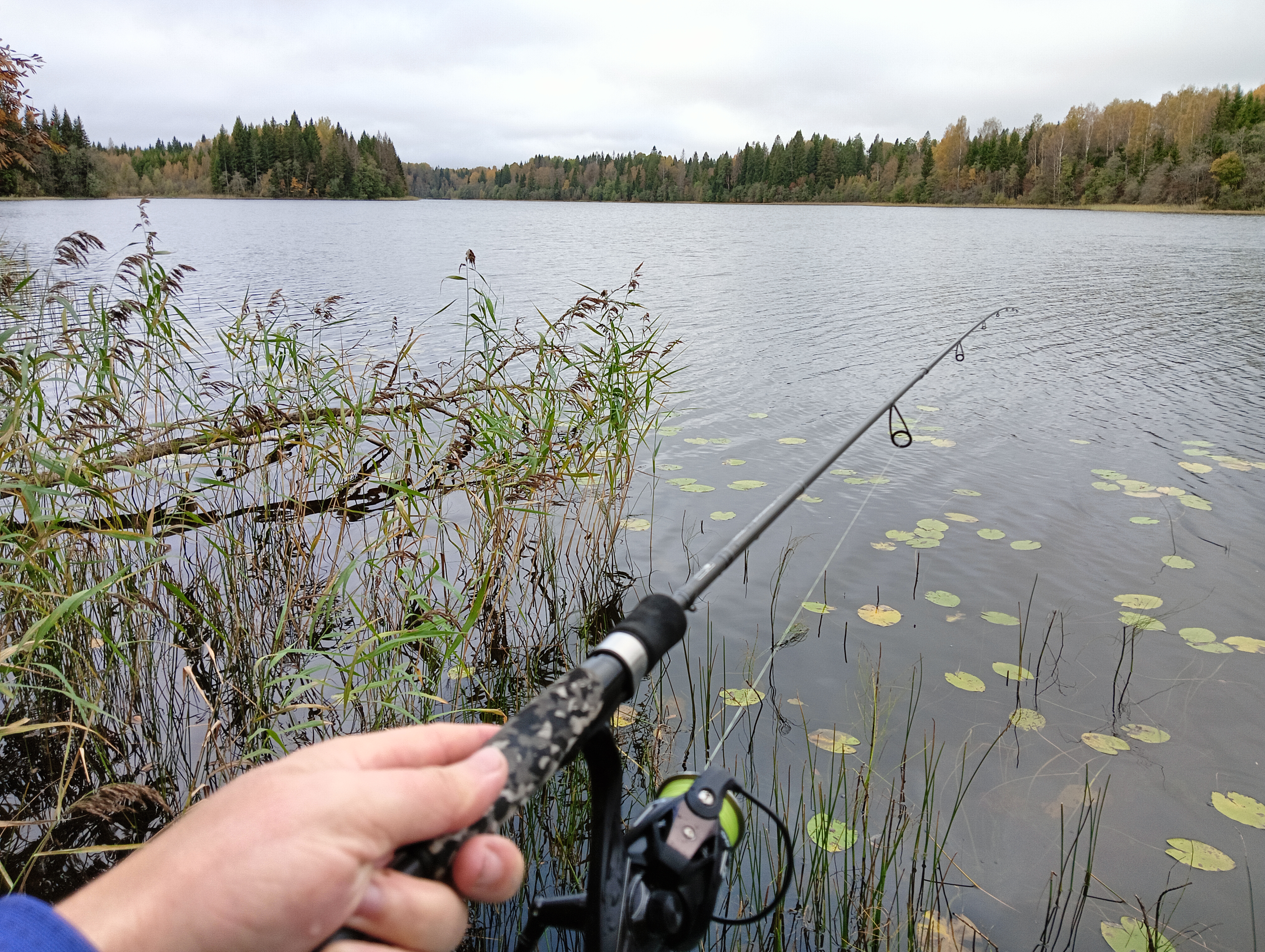 ribalka-kak-sport-istoriya-odnogo-protivostoyaniya