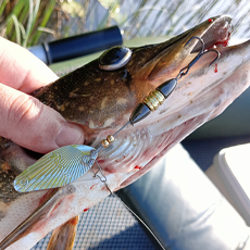 Щука на вертушку тест-драйв новой приманки