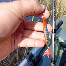 Рыбалка на живца и блесну