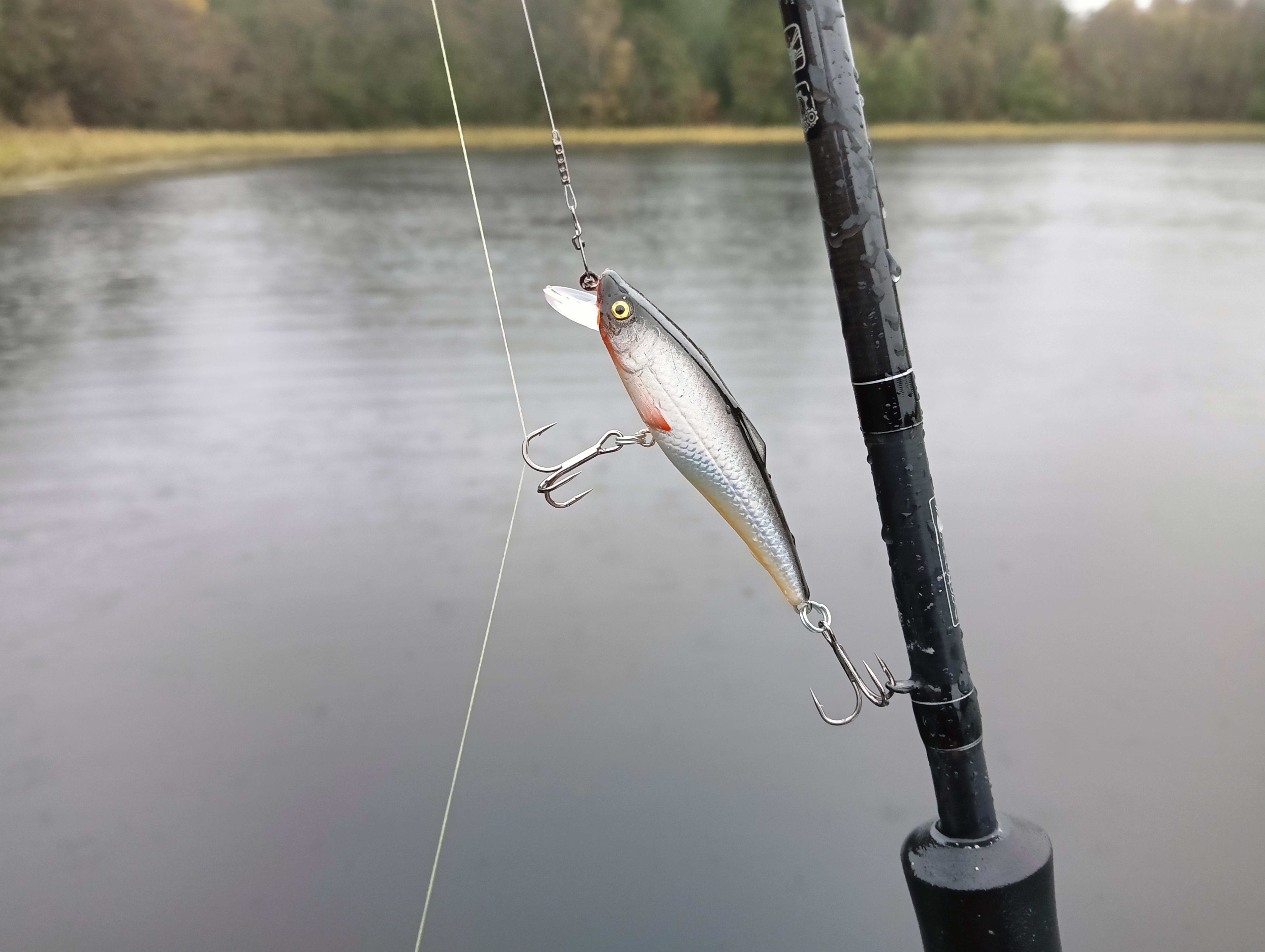 wobbler-aqua-kloss-and-two-pikes-fishing-against-the-forecast