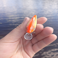 Воблер и тактика как уговорить щуку на поклёвку