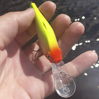 Shaman DR от AQUA - тестируем заглубление и игру на практике