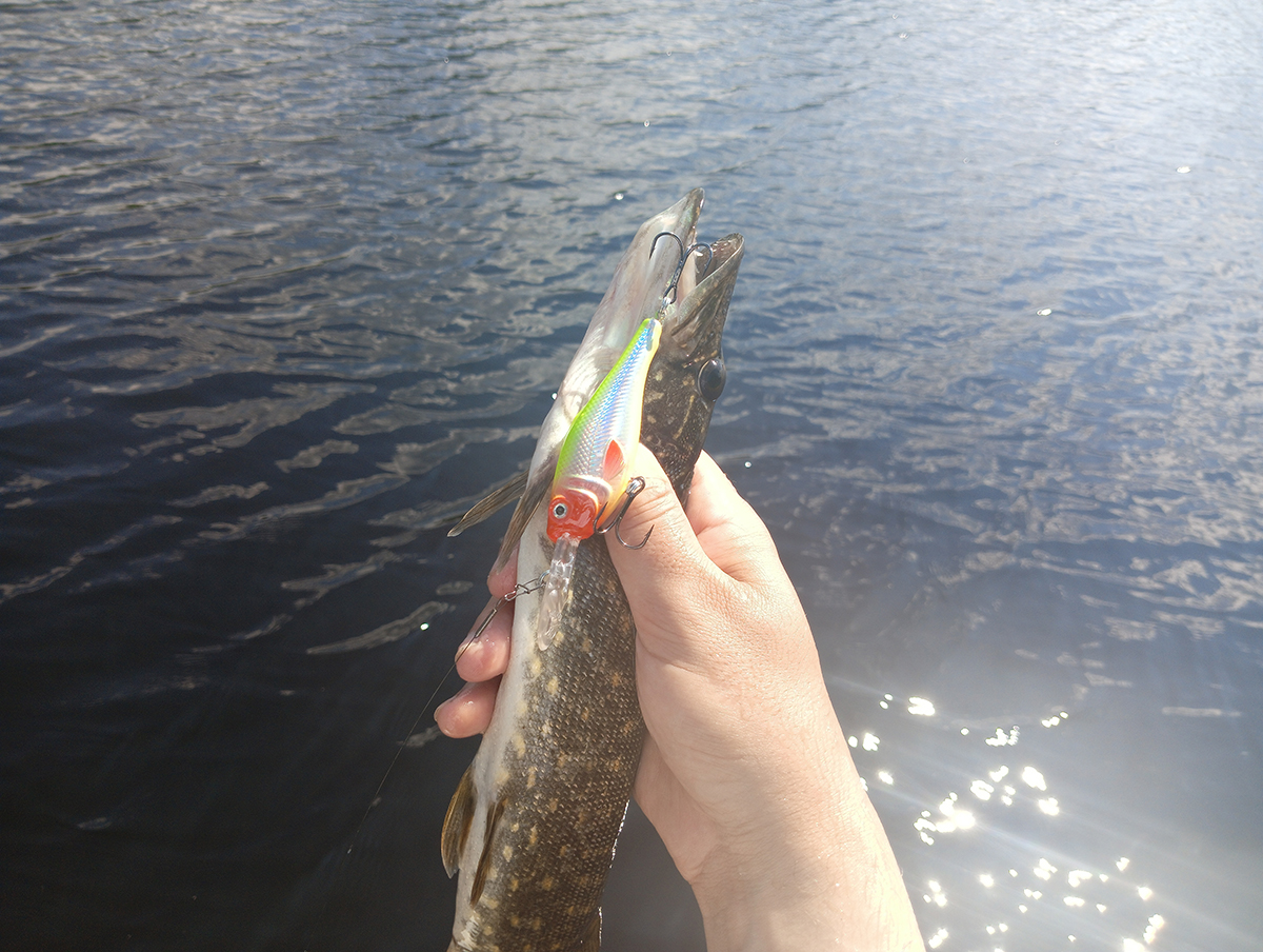 shaman-dr-ot-aqua-testiruem-zaglublenie-i-igru-na-praktike