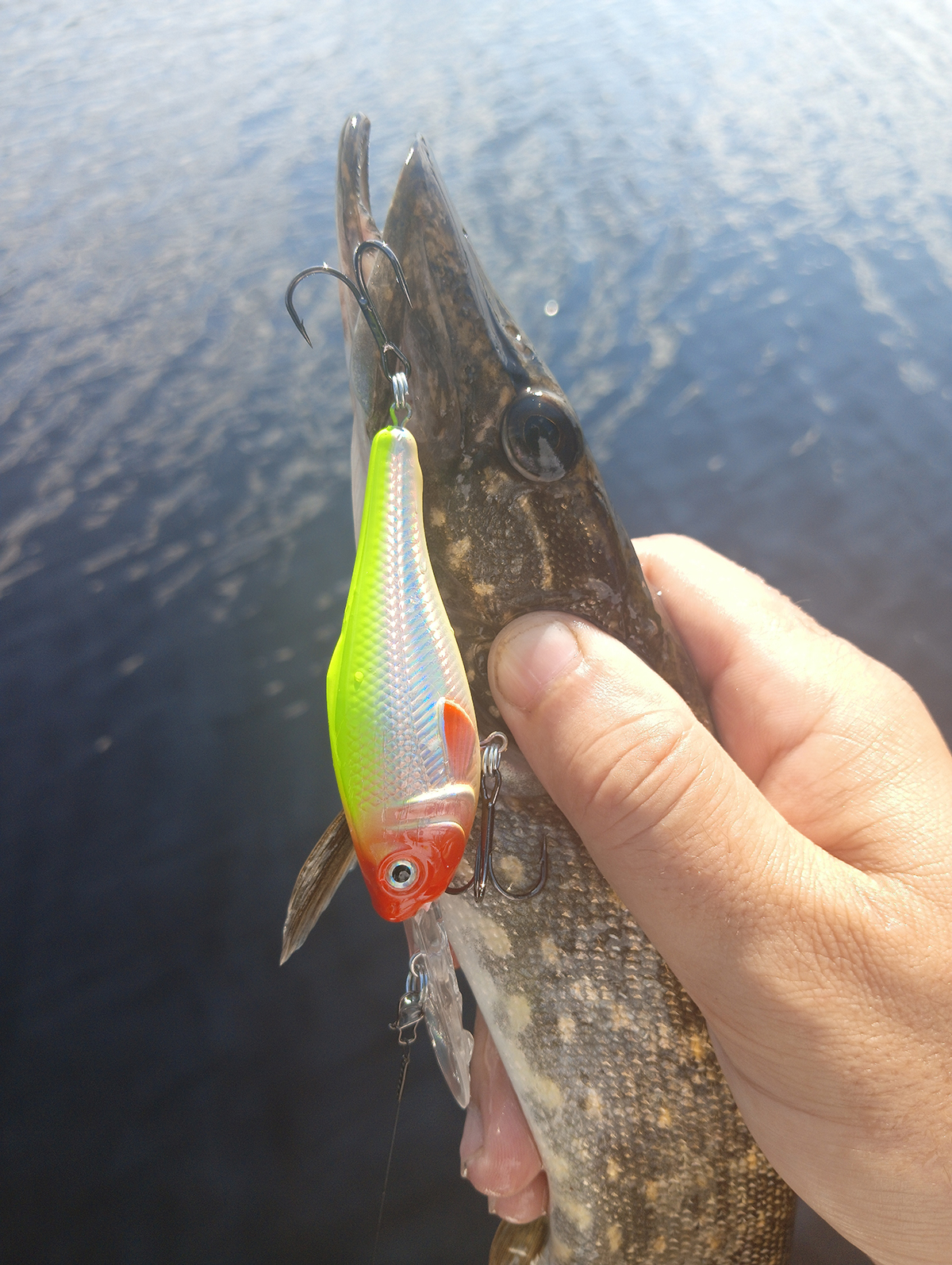 shaman-dr-ot-aqua-testiruem-zaglublenie-i-igru-na-praktike