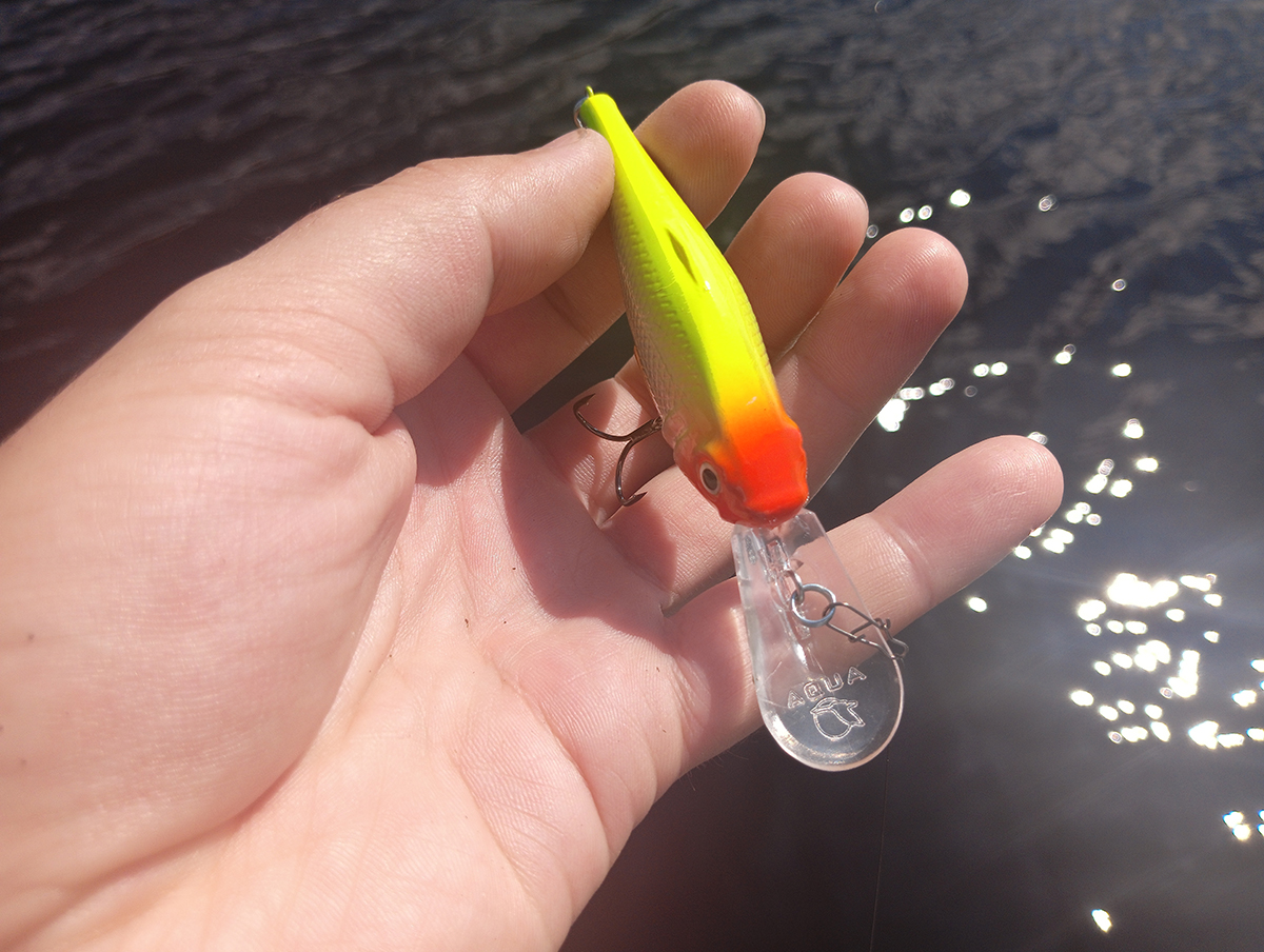 shaman-dr-ot-aqua-testiruem-zaglublenie-i-igru-na-praktike