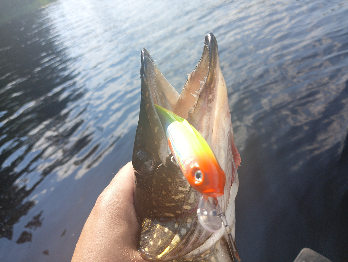 rivkovaya-provodka-protiv-somnevayushcheysya-shchuki-opit-s-voblerom-aqua-tantsortxt rivkovaya-provodka-protiv-somnevayushcheysya-shchuki-opit-s-voblerom-aqua-tantsortxt