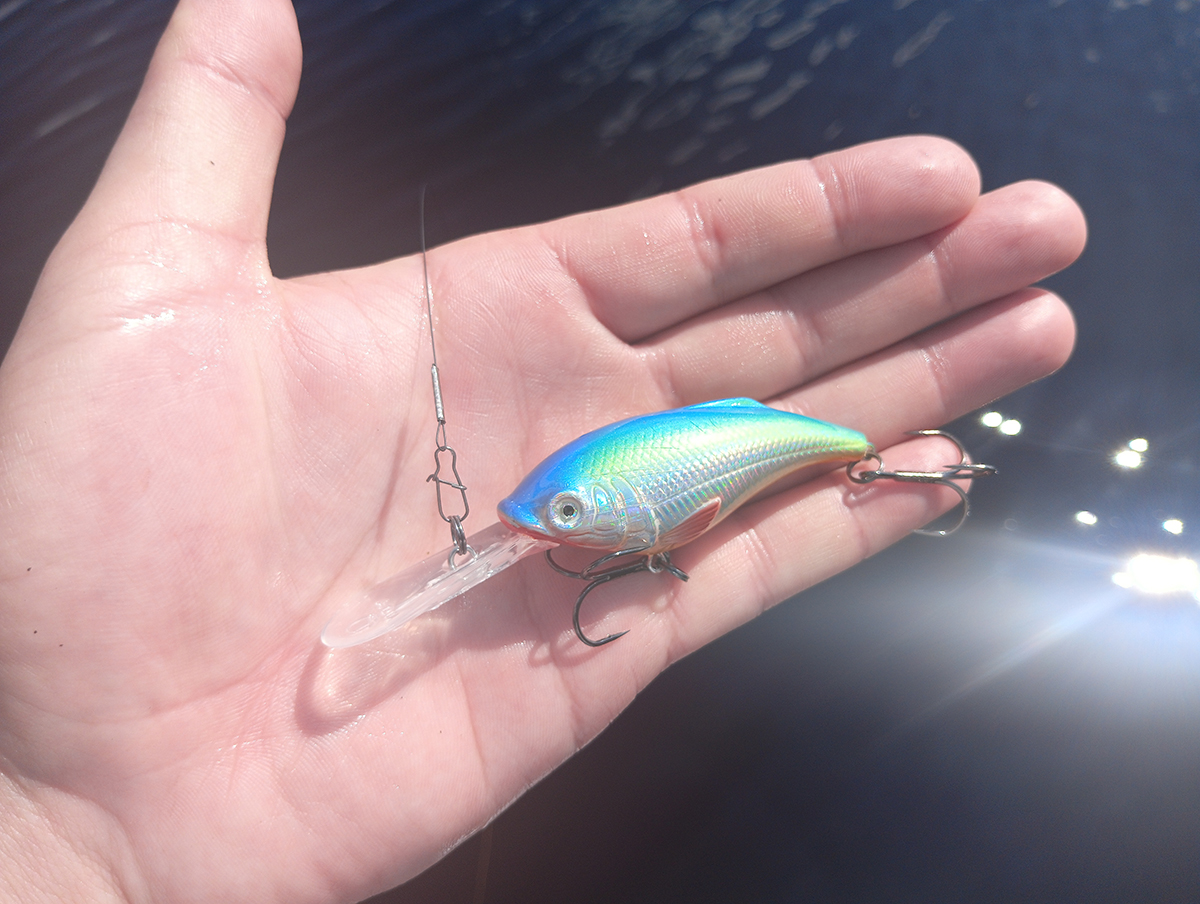 shchuka-na-glubokovodniy-krenk-praktika-s-voblerom-aqua-tolstyak shchuka-na-glubokovodniy-krenk-praktika-s-voblerom-aqua-tolstyak