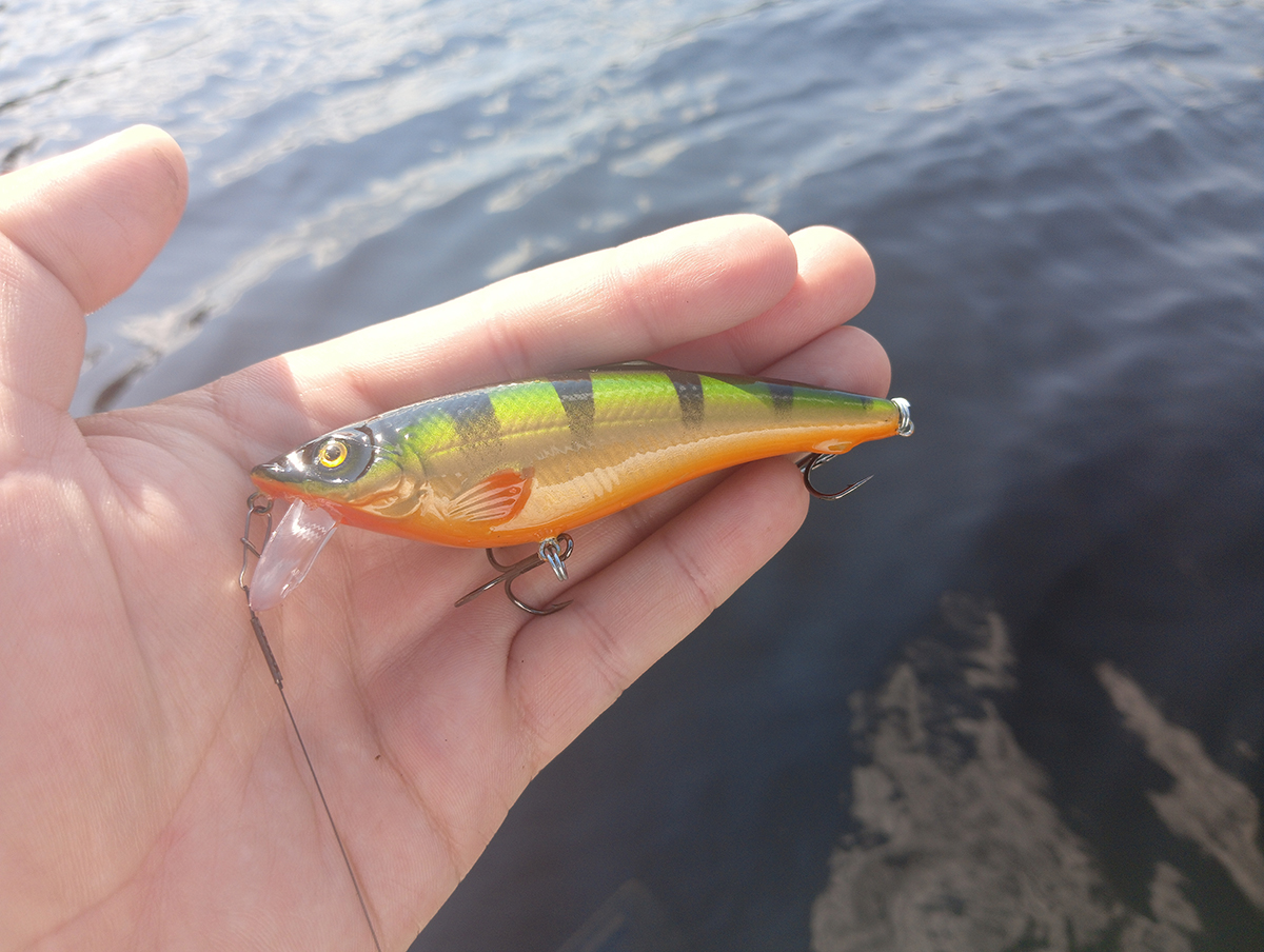 vobler-aqua-gu‑ga-protiv-kapriznoy-shchuki-kto-kogo