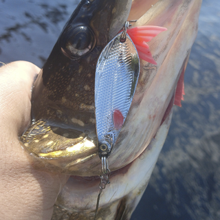 Блесна AQUA Атом М - приманка, которая работает