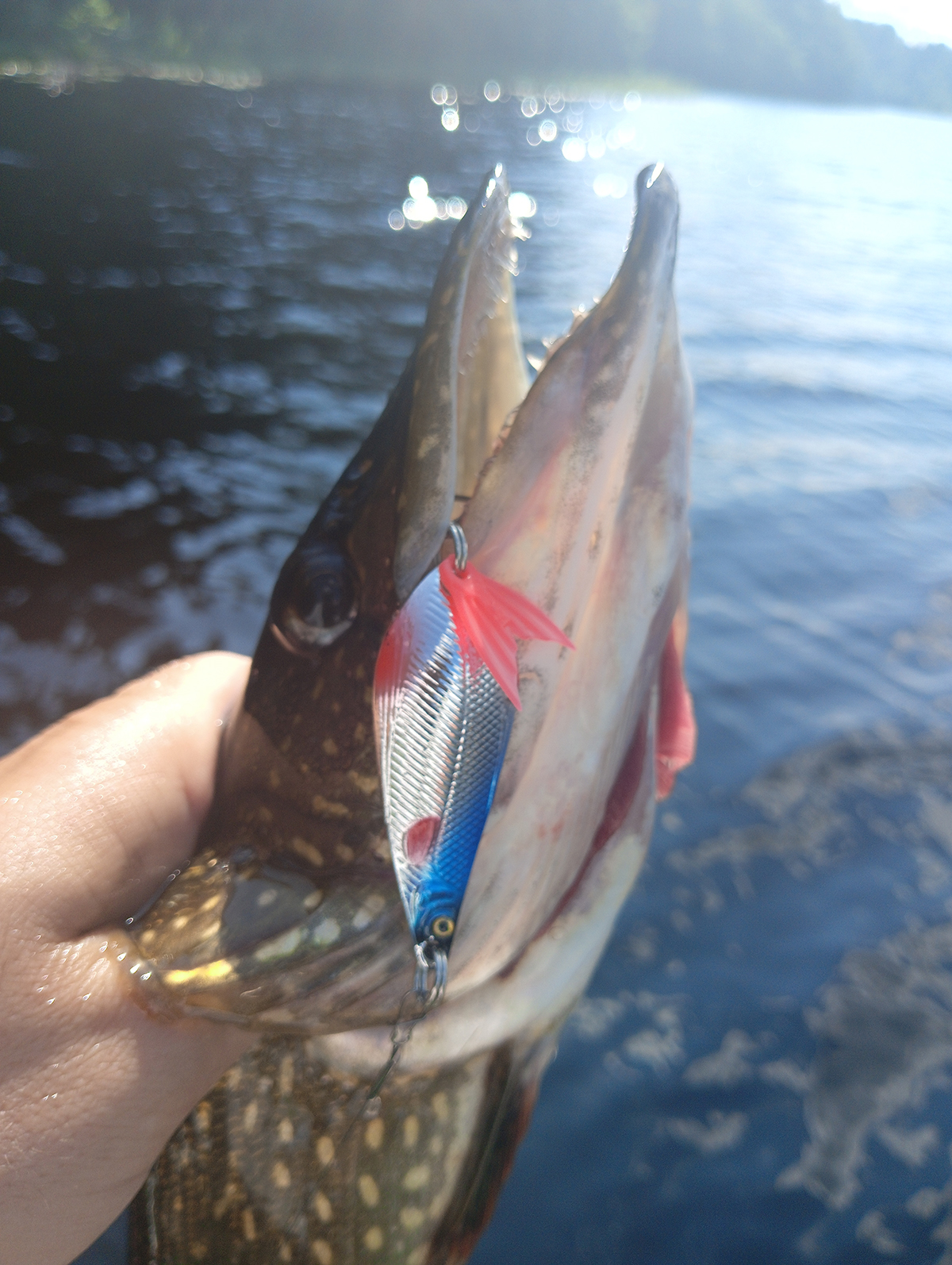 blesna-aqua-atom-m-primanka-kotoraya-rabotaet