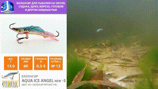 Балансир AQUA Ice Angel New-5 видео, youtube