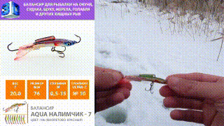 Балансир AQUA Налимчик-7 видео, youtube