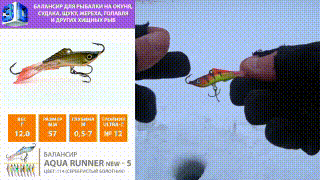 Балансир AQUA Runner New-5 видео, youtube