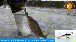 Балансир AQUA Тюлька-6. видео, youtube