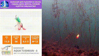 Балансир AQUA Tushkan-5 видео, youtube