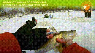 Риппер AQUA FishingFever COMB