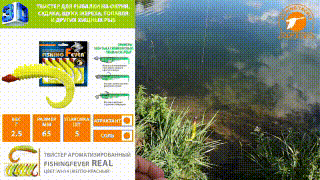 Твистер AQUA FishingFever REAL