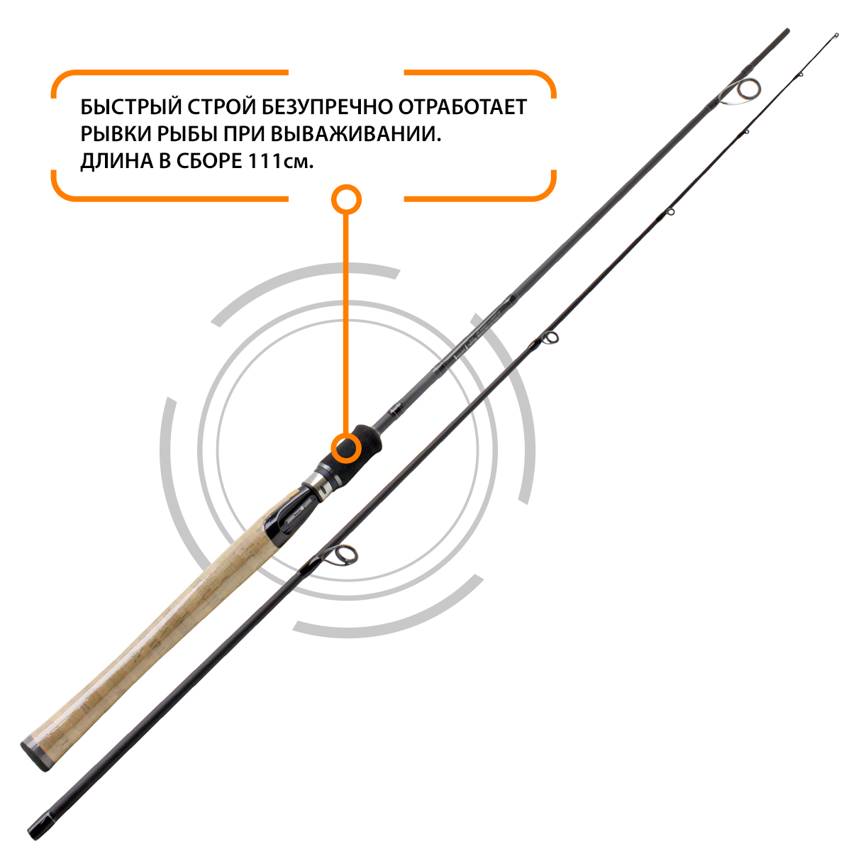 Спиннинг штекерный AQUA AMADEUS PRO