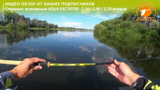 Спиннинг штекерный AQUA DICTATOR