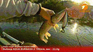 Воблер AQUA BURNASH-2