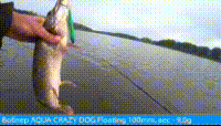 Воблер AQUA CRAZY DOG Floating