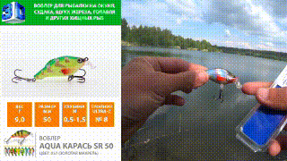 Youtube. Воблер Карась Sr прибавит Вам множество новых ярких эмоции к воспоминаниям о Ваших трофеях с рыбалки!