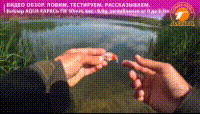 Воблер AQUA КАРАСЬ TW