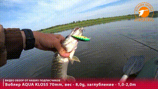 Воблер AQUA KLOSS