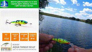 Youtube. 	Воблер AQUA TANGO SR прибавит Вам множество новых ярких эмоции к воспоминаниям о Ваших трофеях с рыбалки!