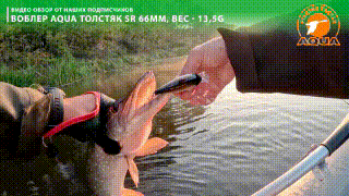 Воблер AQUA ТОЛСТЯК SR-66 – это уникальная, инновационная это приманка для твичинга, кастинга и троллинга в одном лице. Судак, щука (от небольших «шнурков» до трофейных монстров), окунь-горбач, лосось и кумжа и многие другие – это далеко не полный перечень рыб, которые уже «имели честь познакомиться» с уловистой приманкой. Главное выдающееся отличие данного воблера то, что, проанализировав поведения различных приманок типа Минноу, с использованием программ моделирования поведения приманок в жидких средах, мы пришли к выводу, что их поведение в воде раскладывается на 2 вектора, частотный и амплитудный. Применение в конструкции двух носовых петель вместо одной, позволяет в широком диапазоне менять настройки, которыми обуславливается игра приманки. 