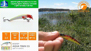 Youtube. Воблер AQUA ТВИН – это уникальная, инновационная это приманка для твичинга, кастинга и троллинга в одном лице. Судак, щука (от небольших «шнурков» до трофейных монстров), окунь-горбач, лосось и кумжа и многие другие – это далеко не полный перечень рыб, которые уже «имели честь познакомиться» с уловистой приманкой. Главное выдающееся отличие данного воблера то, что, проанализировав поведения различных приманок типа Минноу, с использованием программ моделирования поведения приманок в жидких средах, мы пришли к выводу, что их поведение в воде раскладывается на 2 вектора, частотный и амплитудный. Применение в конструкции двух носовых петель вместо одной, позволяет в широком диапазоне менять настройки, которыми обуславливается игра приманки. 